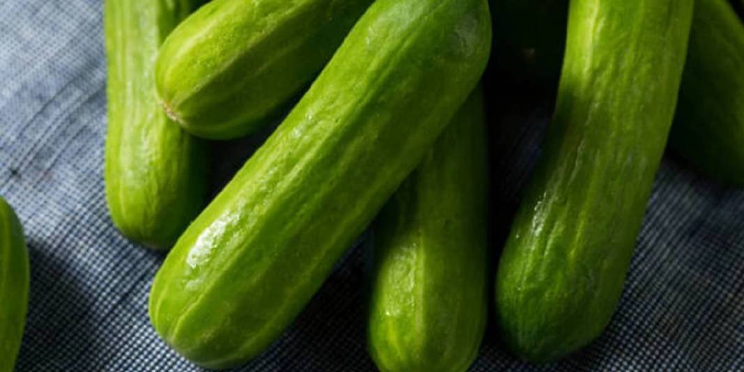 Artık salatalık yemek de riskli! Tarım krizi büyüyor: ‘Fluopyram’ kimyasalı resmen tehlike saçıyor 6